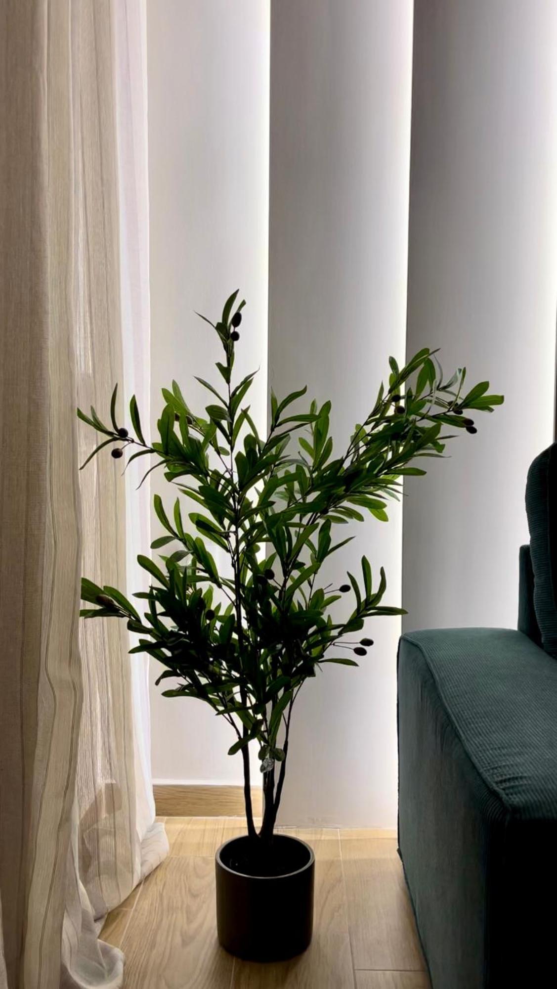 Emerald Luxury Apartments - Ath Airport Спата Экстерьер фото